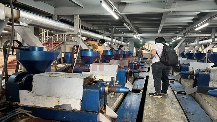 small sturgeons feed pelleting machine in Zambia